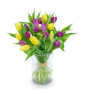 Bouquet of tulips